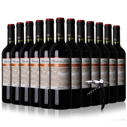 西班牙DO级原瓶进口红酒圣里奥干红葡萄酒750ml*12